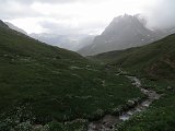 IMG 2796