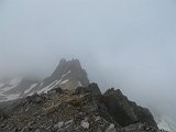 IMG 2835
