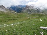 IMG 2887