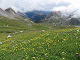 IMG 2888