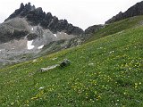 IMG 2890