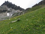 IMG 2891