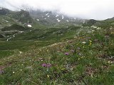 IMG 2899