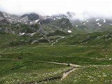IMG 2901