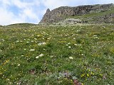 IMG 2902