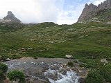 IMG 2919