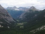 IMG 2921