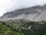 IMG 2927