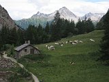 IMG 2929