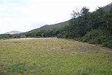 IMG 3228