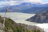 IMG 3595