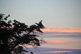 IMG 3986
