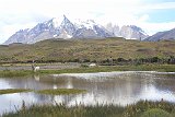 IMG 4029