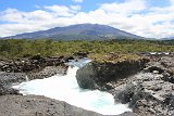 IMG 4151