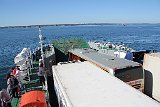 IMG 4368