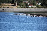 IMG 4370