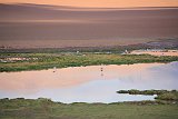 IMG 4454