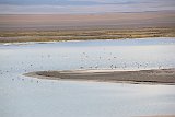 IMG 4522