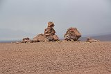 IMG 4546