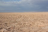 IMG 4586