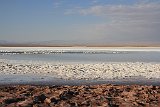 IMG 4590