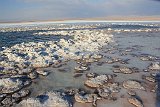 IMG 4597