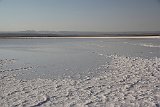 IMG 4610