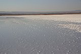 IMG 4615