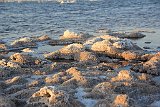 IMG 4628