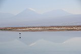 IMG 4680