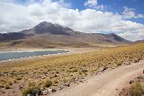 IMG 4733