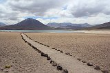 IMG 4753