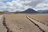 IMG 4754