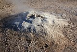 IMG 4866