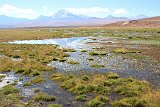 IMG 4936