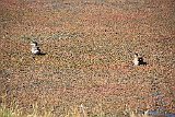IMG 4939