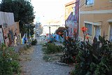 IMG 5115