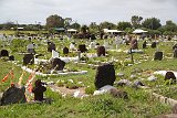 IMG 5226