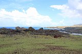 IMG 5584