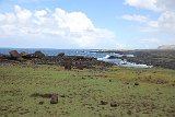 IMG 5598
