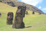 IMG 5639