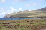 IMG 5698