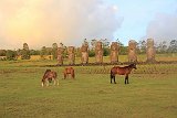 IMG 5763