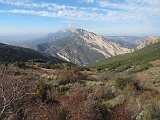IMG 2579