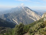 IMG 2584