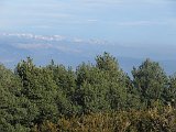 IMG 2632