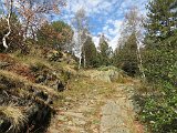 La travessa dels Pirineus per la A.R.P.