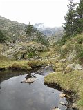 La travessa dels Pirineus per la A.R.P.