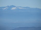 IMG 7355