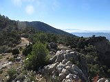IMG 7416